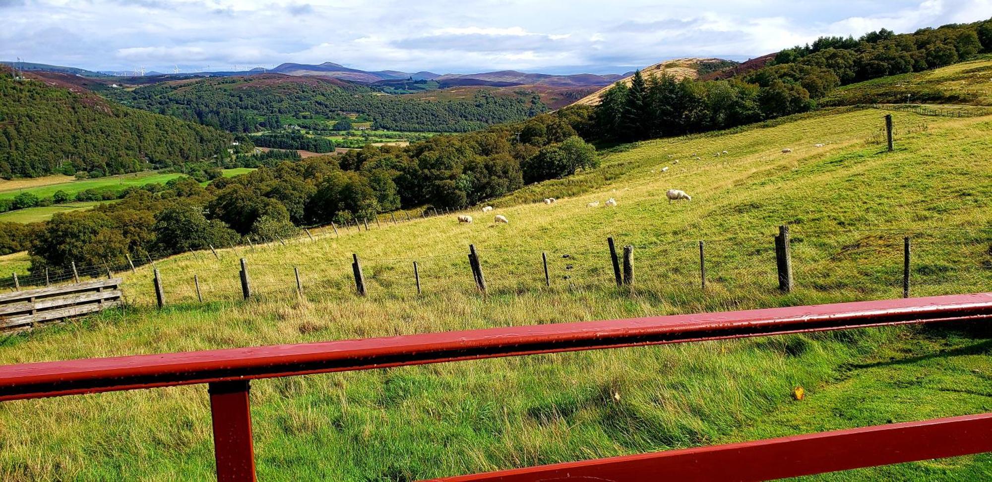 Highland Glen Lodges Rogart Kültér fotó